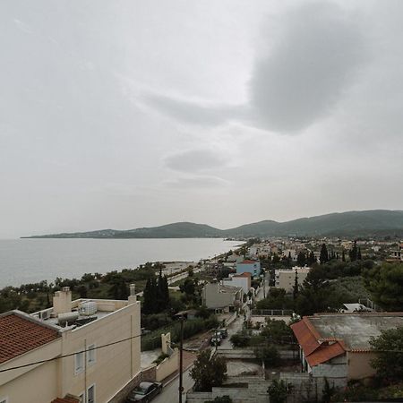 Niki House Apartment Volos Ngoại thất bức ảnh